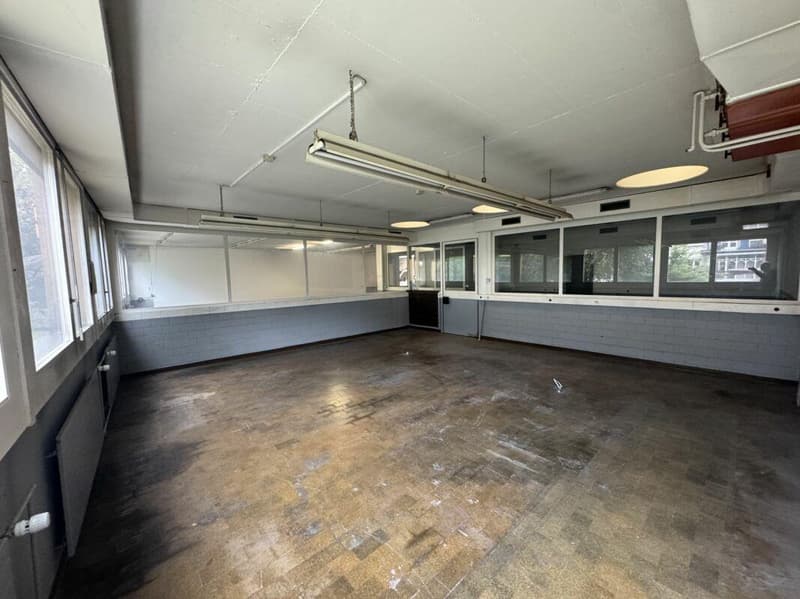 Studio / Office from 180 m2 on the ground floor (2)