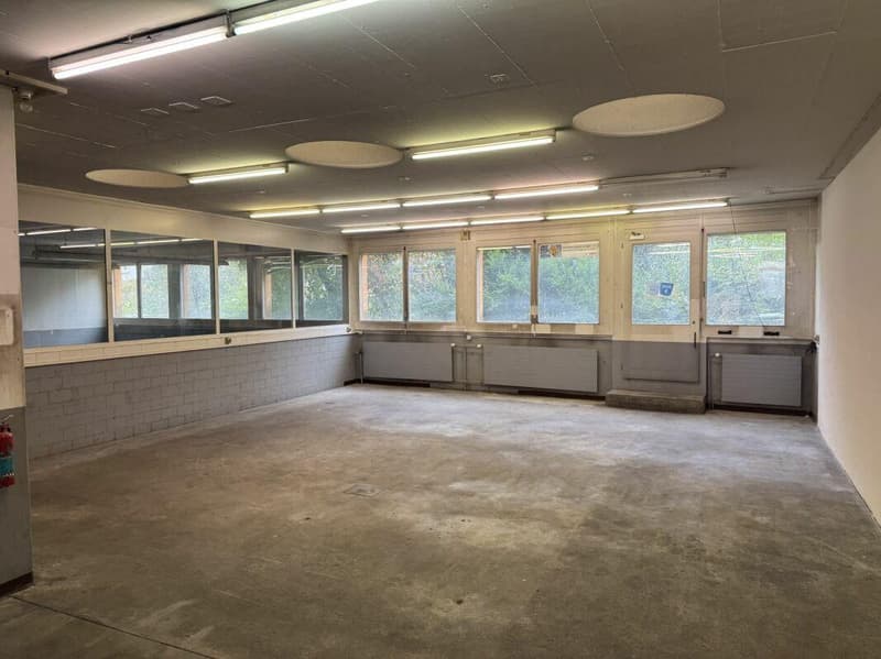 Studio / Office from 180 m2 on the ground floor (5)