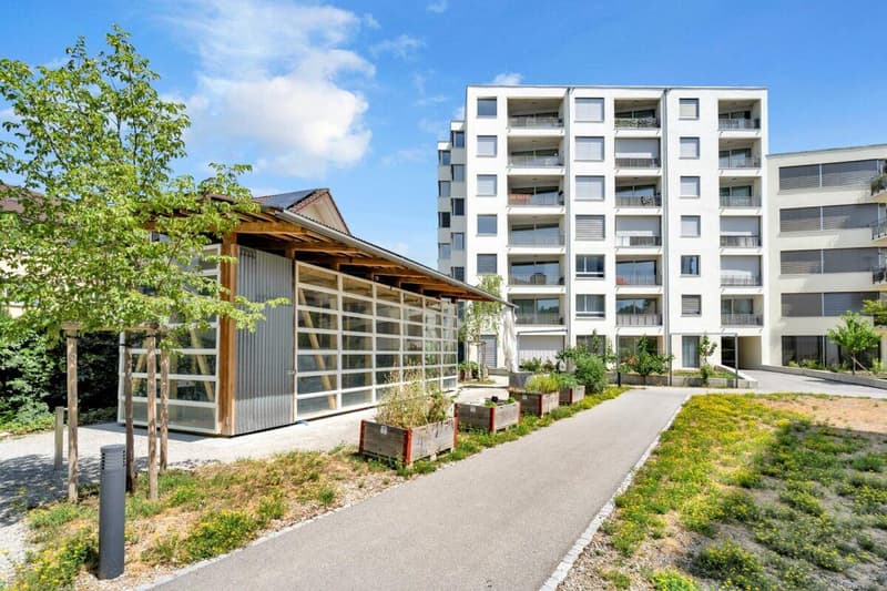 Moderne Familienwohnung in Burgdorf (1)