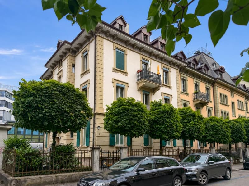 Appartamento da sogno con galleria al piano superiore, nel quartiere popolare di Lorraine (1)