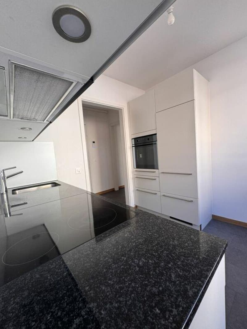 Vivere a Monbijou... appartamento di 3 camere cerca nuovi inquilini (5)