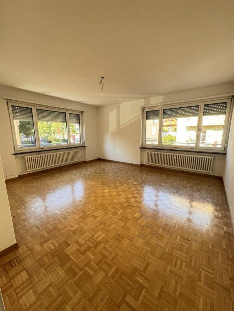 Vivere a Monbijou... appartamento di 3 camere cerca nuovi inquilini (10)