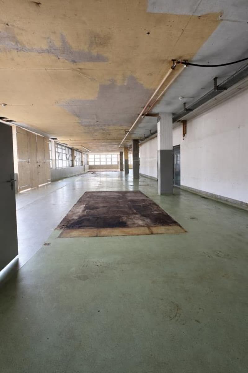 Flexible commercial space with top infrastructure (6)