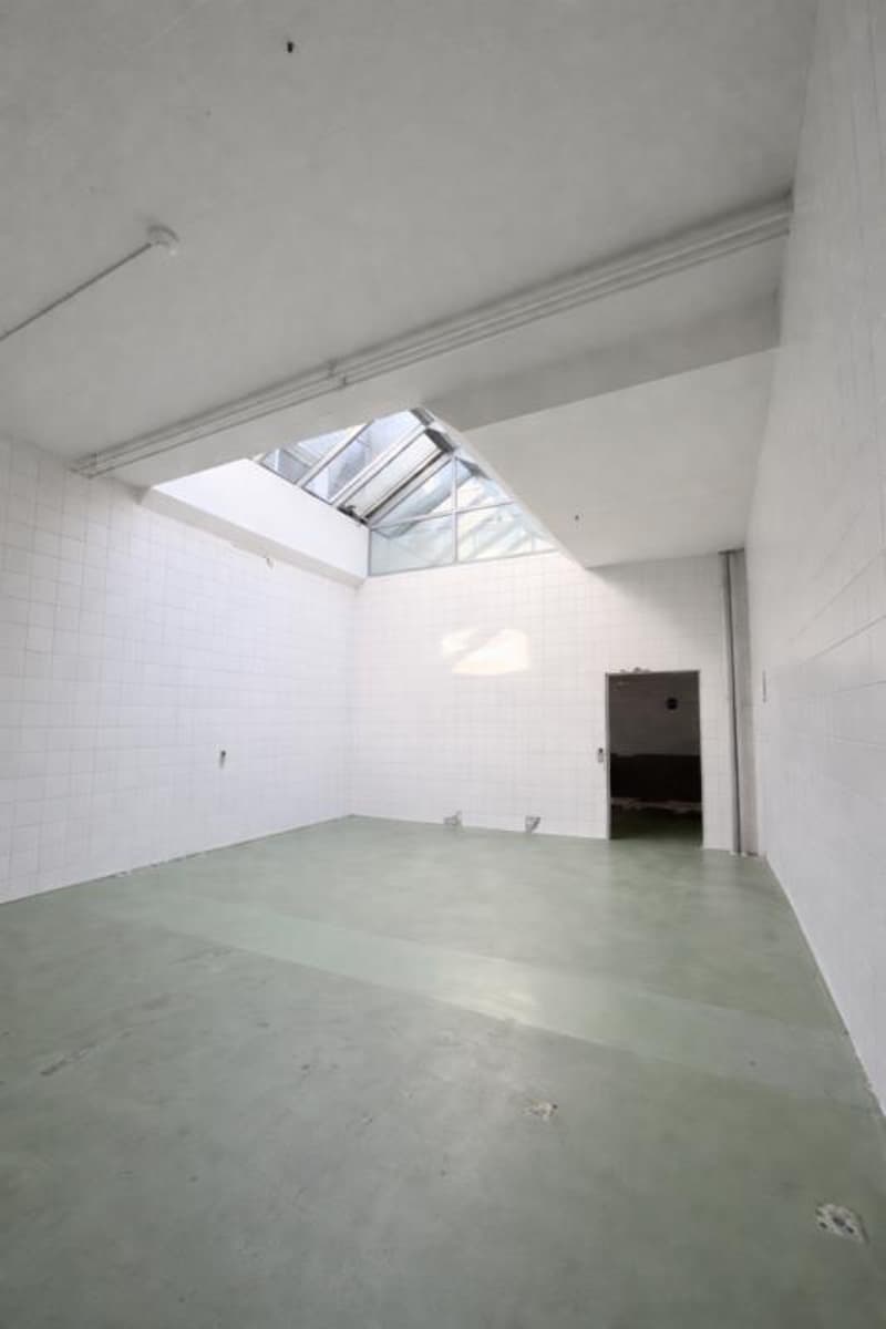 Flexible commercial space with top infrastructure (3)