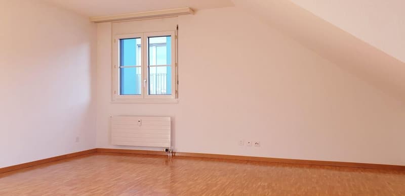 2.5-room apartment, attic (6)