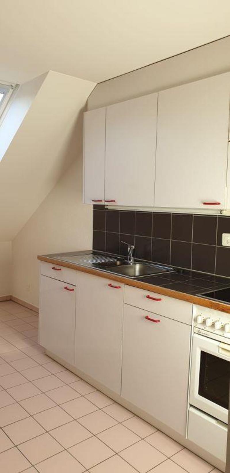 2.5-room apartment, attic (3)