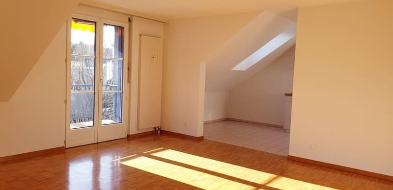 2.5-room apartment, attic (5)