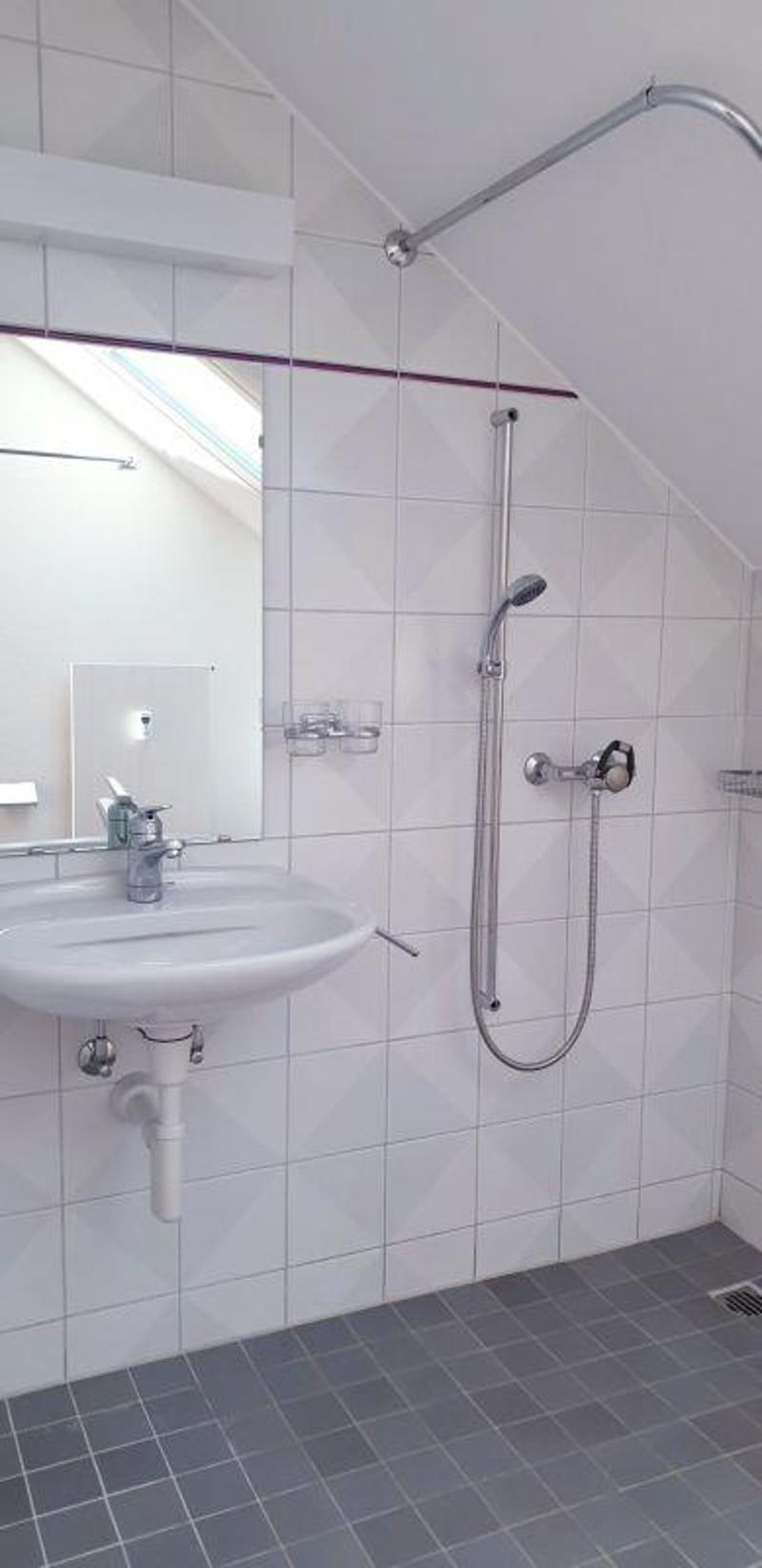 2.5-room apartment, attic (4)