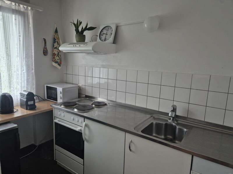 3.5-room apartment with balcony (3)