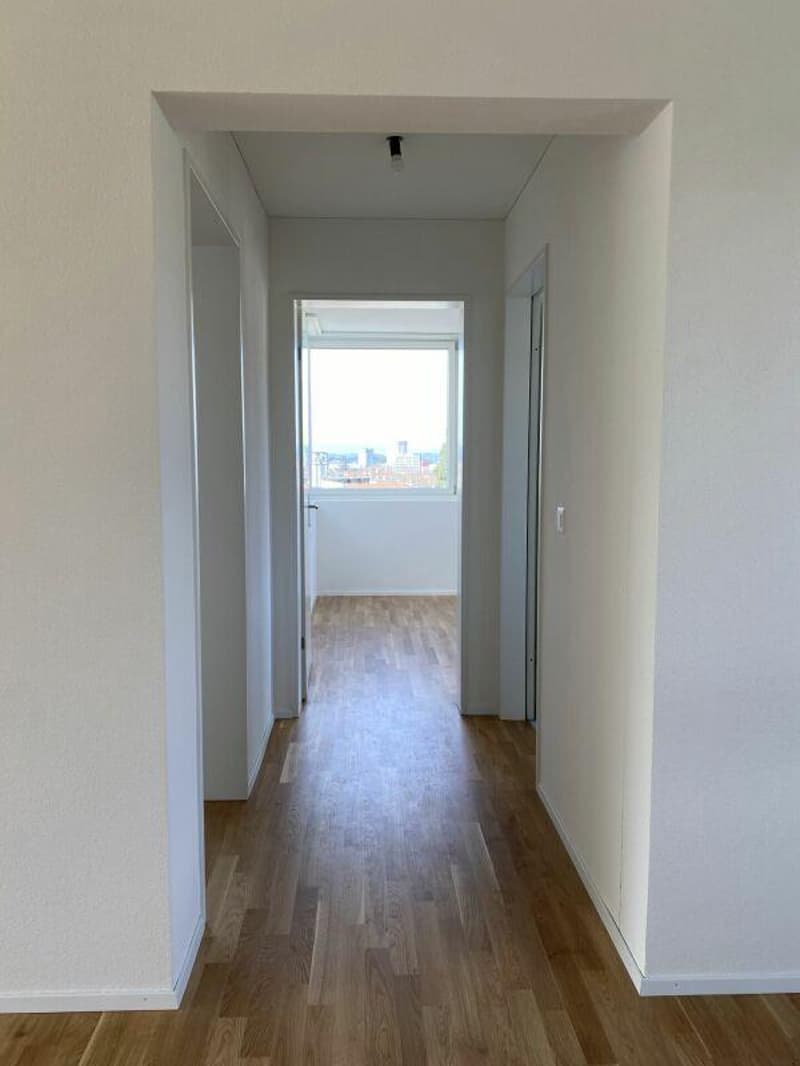 Modern family apartment above the roofs of Burgdorf (3)