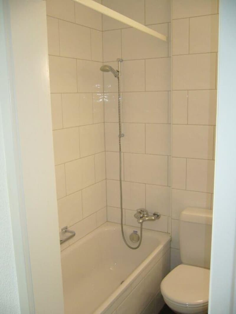 Beautiful 3.5-room apartment seeking new tenants (3)