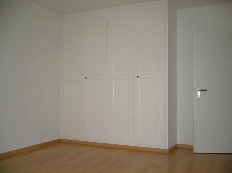 Beautiful 3.5-room apartment seeking new tenants (7)