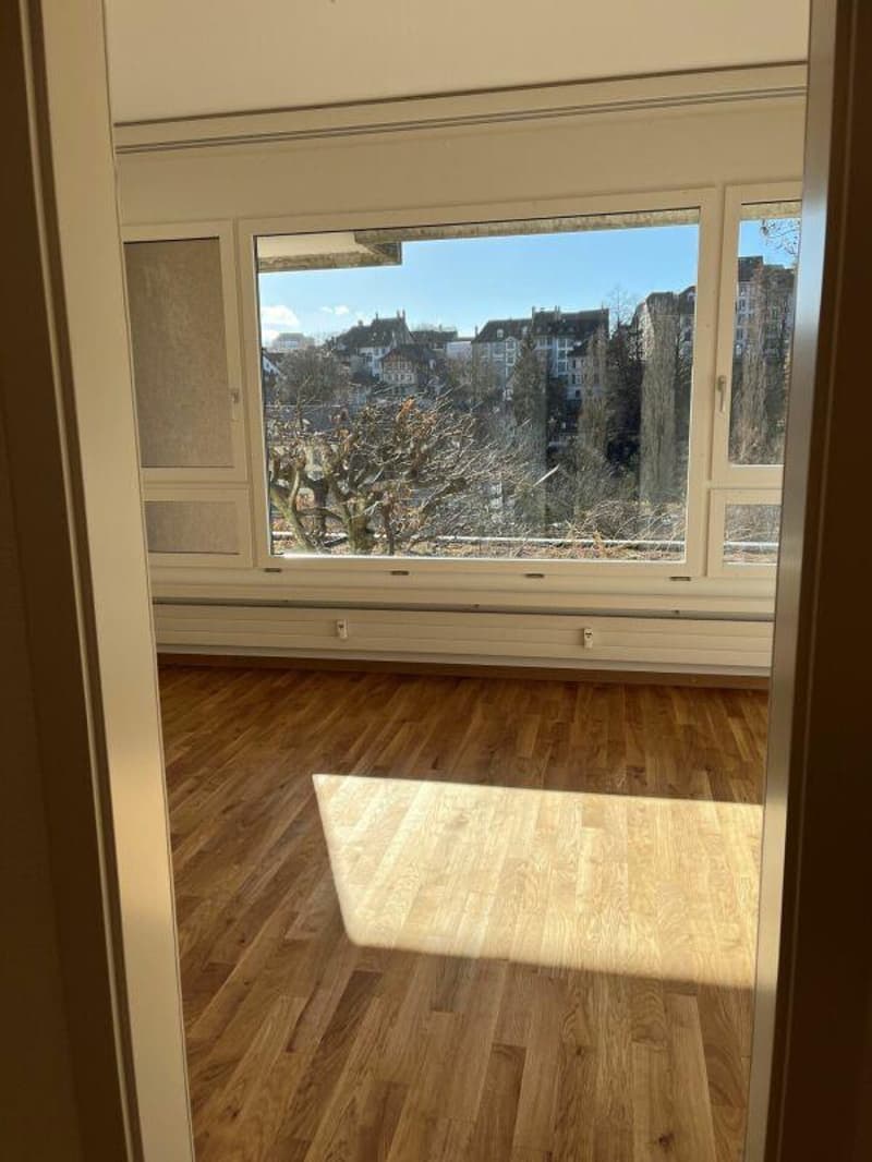 Bella vita con vista sull'Aare e la città vecchia di Berna (6)