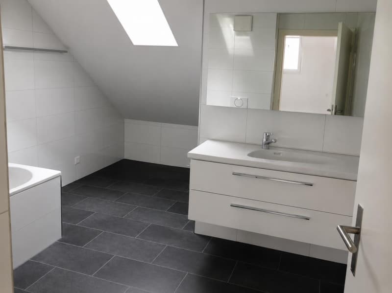 Charmant appartement de 2,5 pièces au bord du lac Egelsee (5)