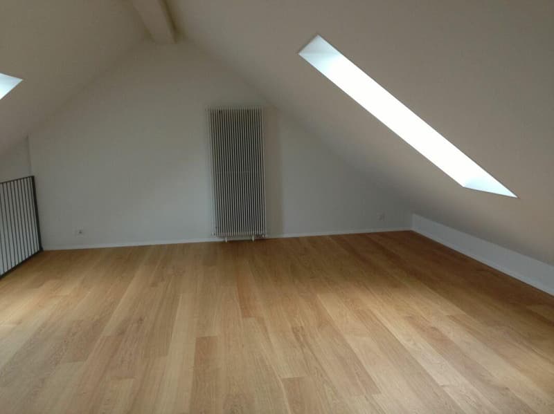 Charmant appartement de 2,5 pièces au bord du lac Egelsee (2)