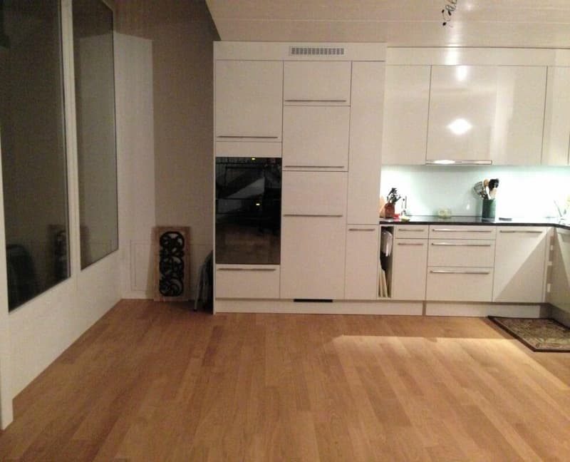 Charmant appartement de 2,5 pièces au bord du lac Egelsee (4)