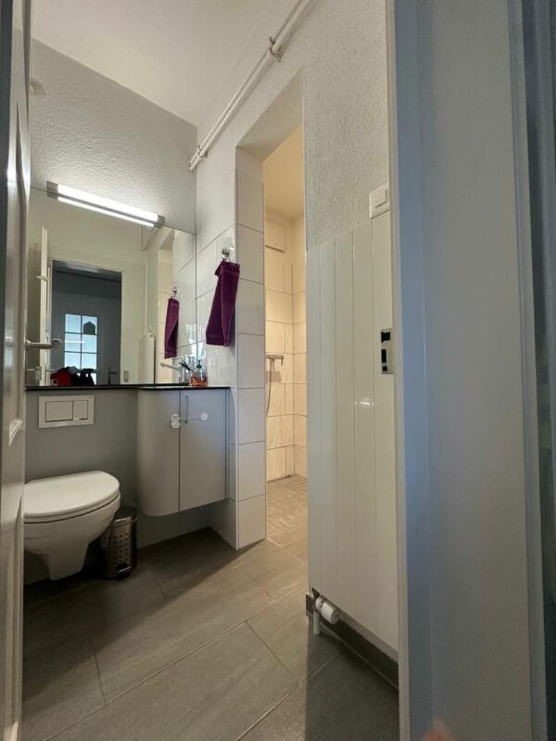 La tua nuova casa in Länggasse (5)