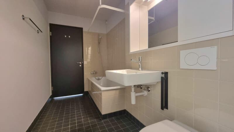 3.5-room apartment on Riedbachstrasse 82 on the 3rd floor (3)