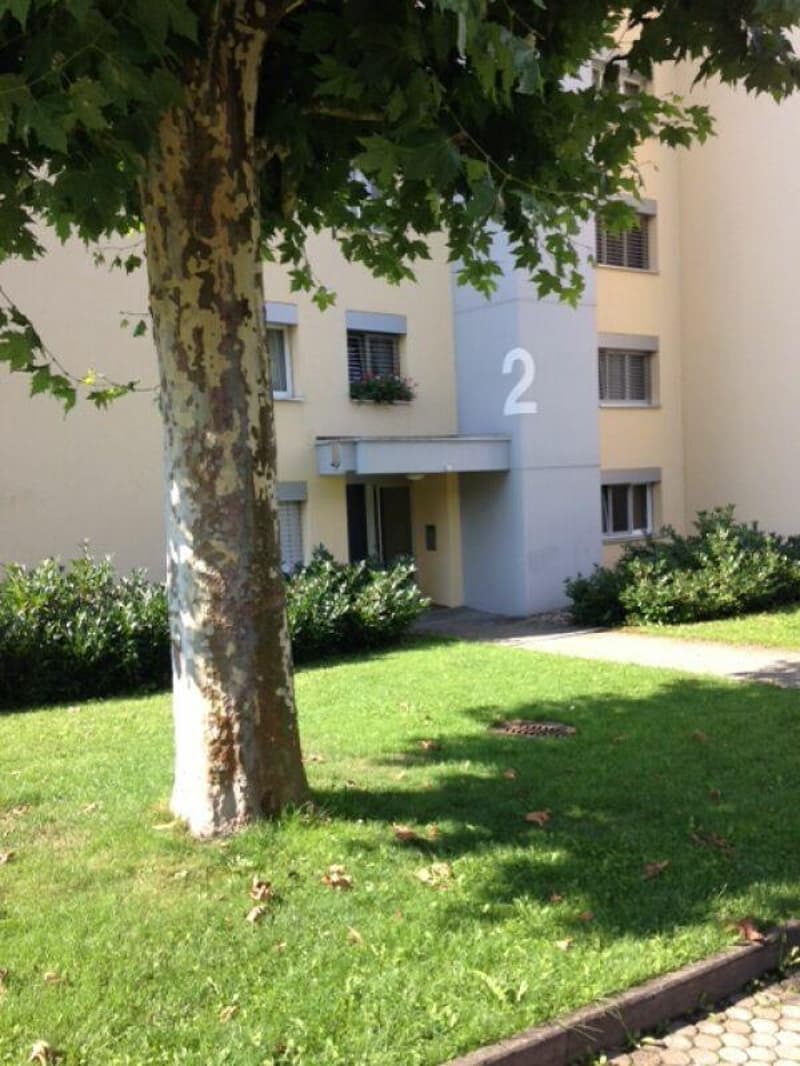 Zugang ins Haus