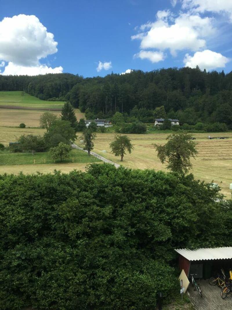 Ausblick ins Grüne
