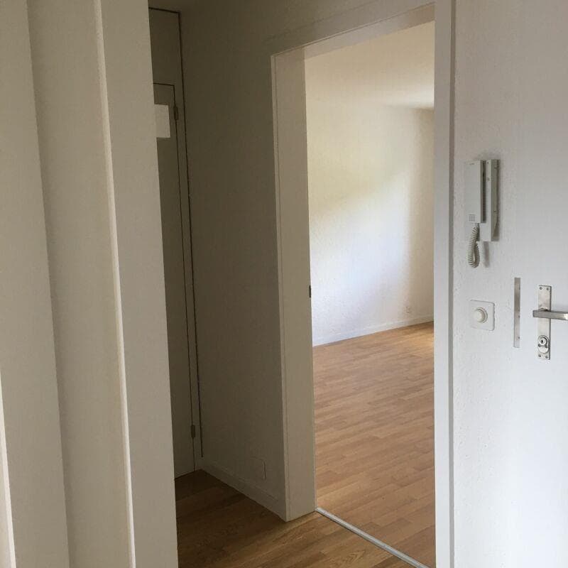 Entrée mit Garderobe und Reduit