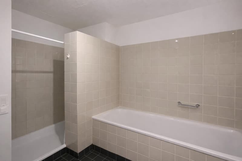 Appartement lumineux et magnifique de 3,5 pièces (5)