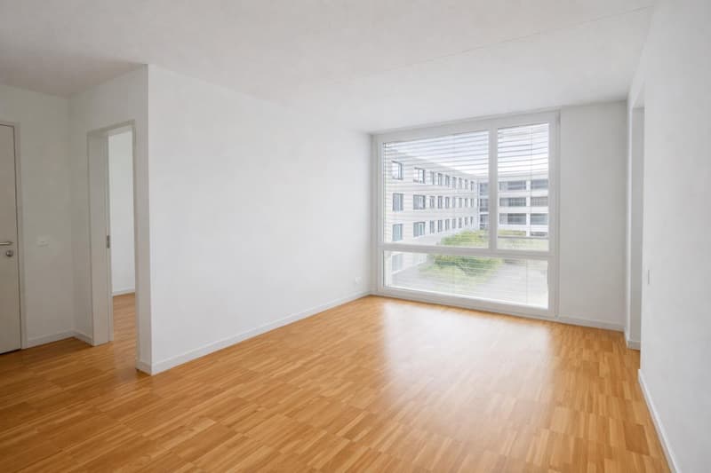 Appartement lumineux et magnifique de 3,5 pièces (4)