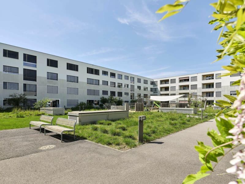 Appartement lumineux et magnifique de 3,5 pièces (1)
