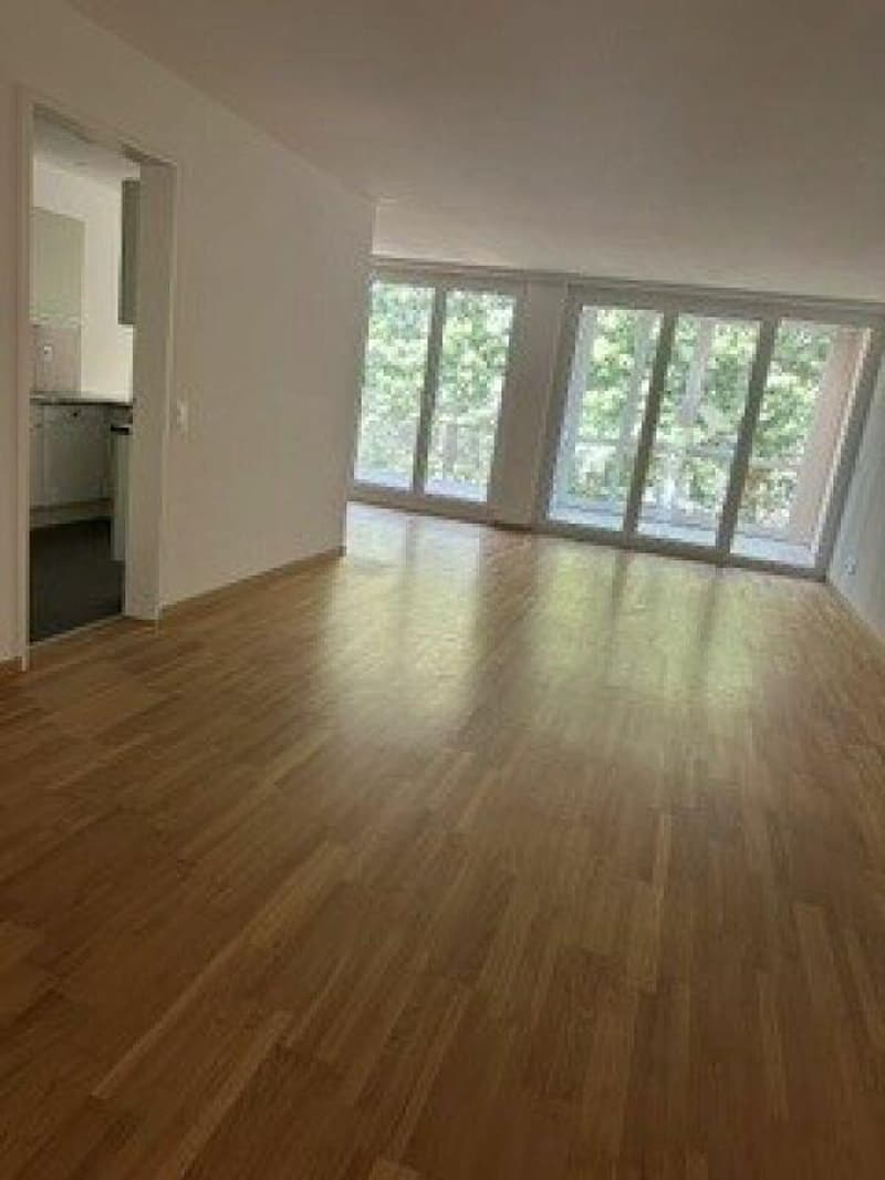 Appartement-maisonnette 3,5 pièces (12)