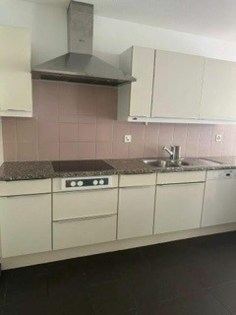 Appartement-maisonnette 3,5 pièces (8)