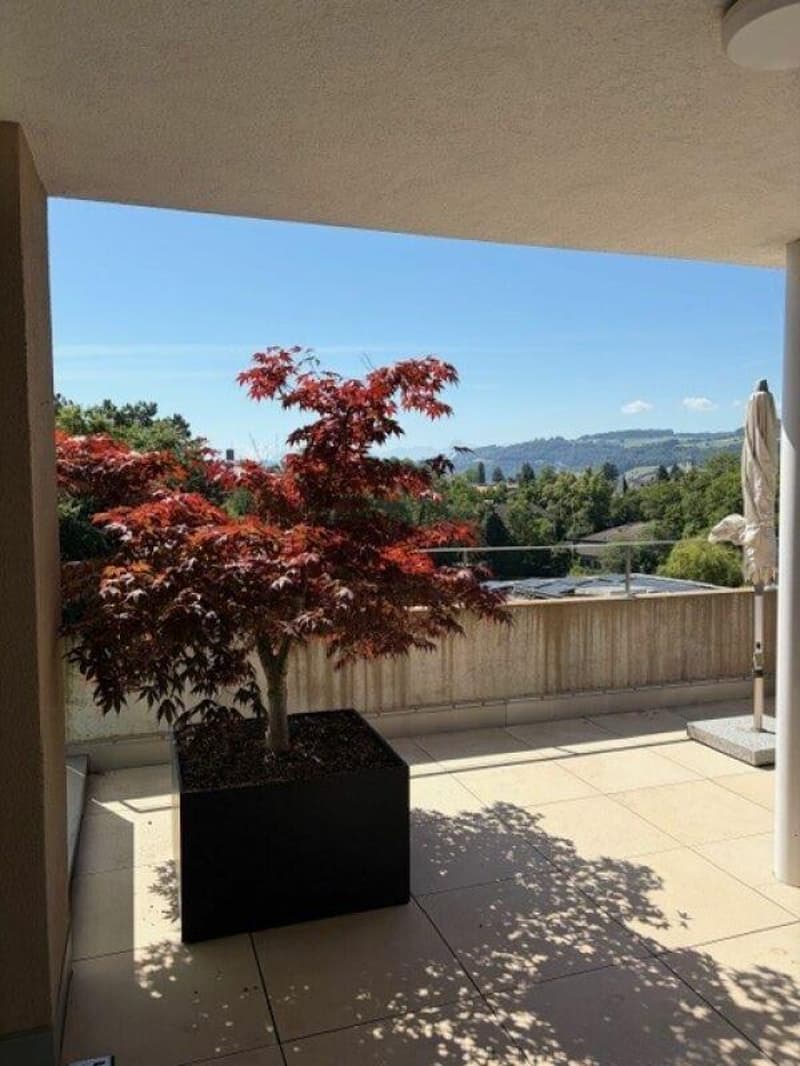 Appartement 5 1/2 pièces magnifique avec terrasse près d'Egelsee (7)