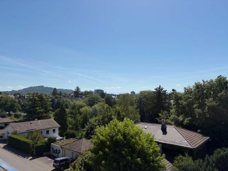 Appartement 5 1/2 pièces magnifique avec terrasse près d'Egelsee (3)