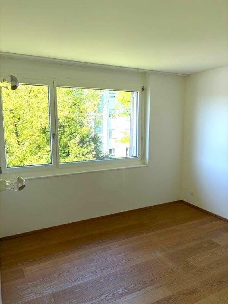 Appartement 5 1/2 pièces magnifique avec terrasse près d'Egelsee (10)