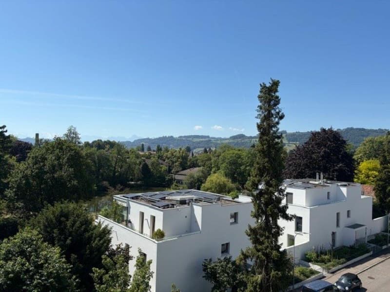 Appartement 5 1/2 pièces magnifique avec terrasse près d'Egelsee (4)