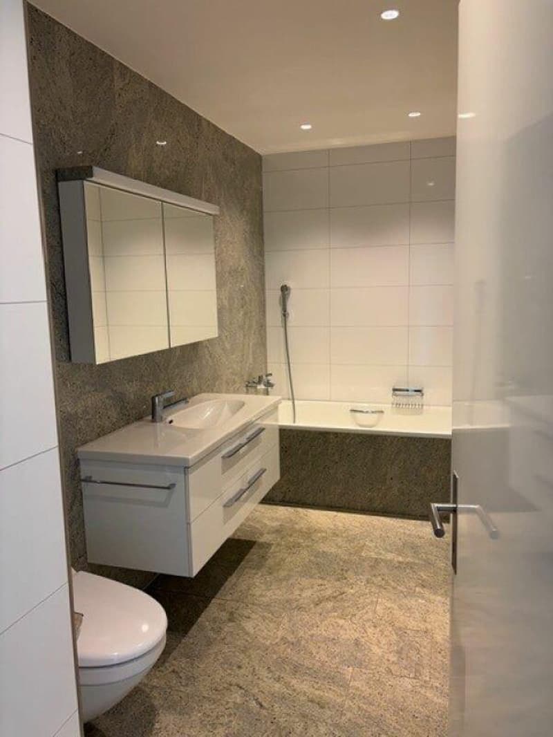 Appartement 5 1/2 pièces magnifique avec terrasse près d'Egelsee (8)
