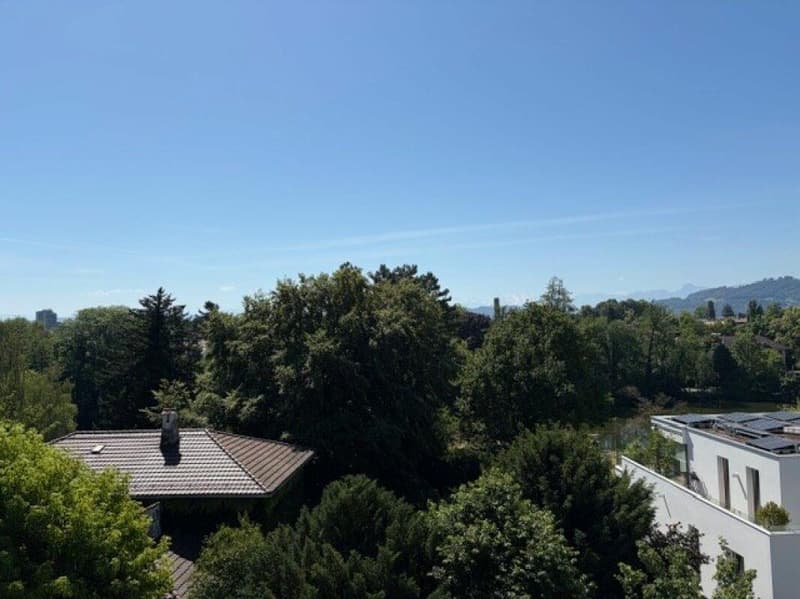 Appartement 5 1/2 pièces magnifique avec terrasse près d'Egelsee (5)