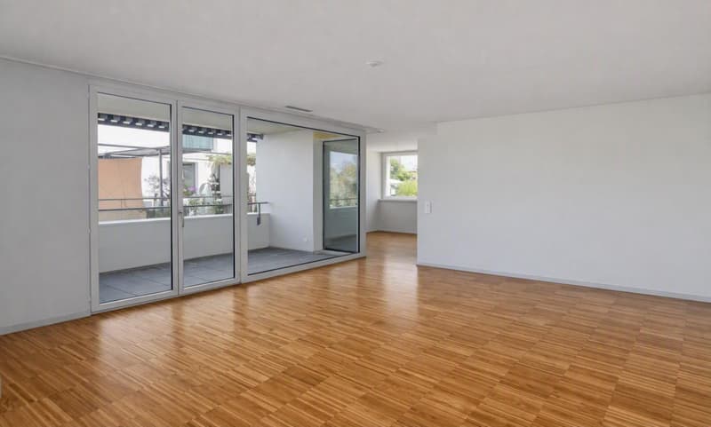 2.5-Zimmerwohnung Erdgeschoss (3)