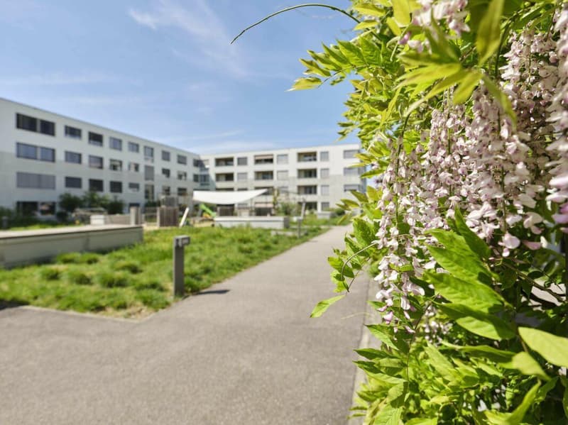 2.5-Zimmerwohnung Erdgeschoss (1)