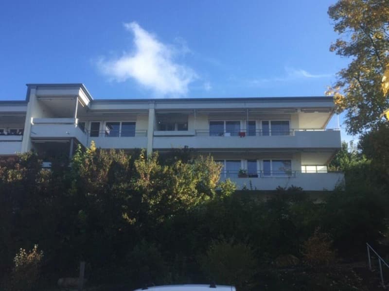 Liegenschaft