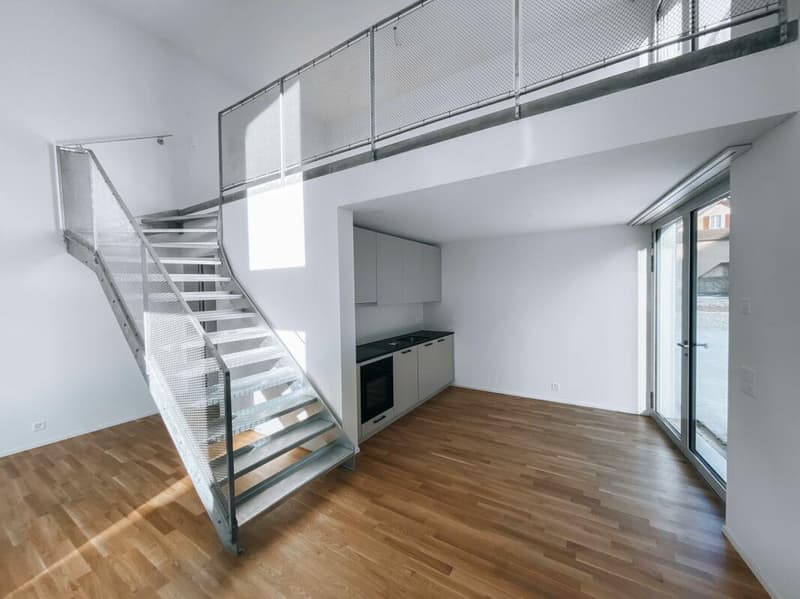 1.5 Zimmer-Atelierwohnung (2)