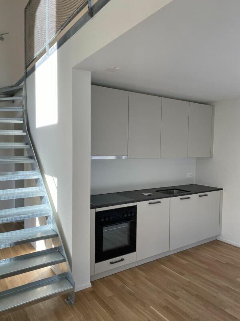 1.5 Zimmer-Atelierwohnung (5)