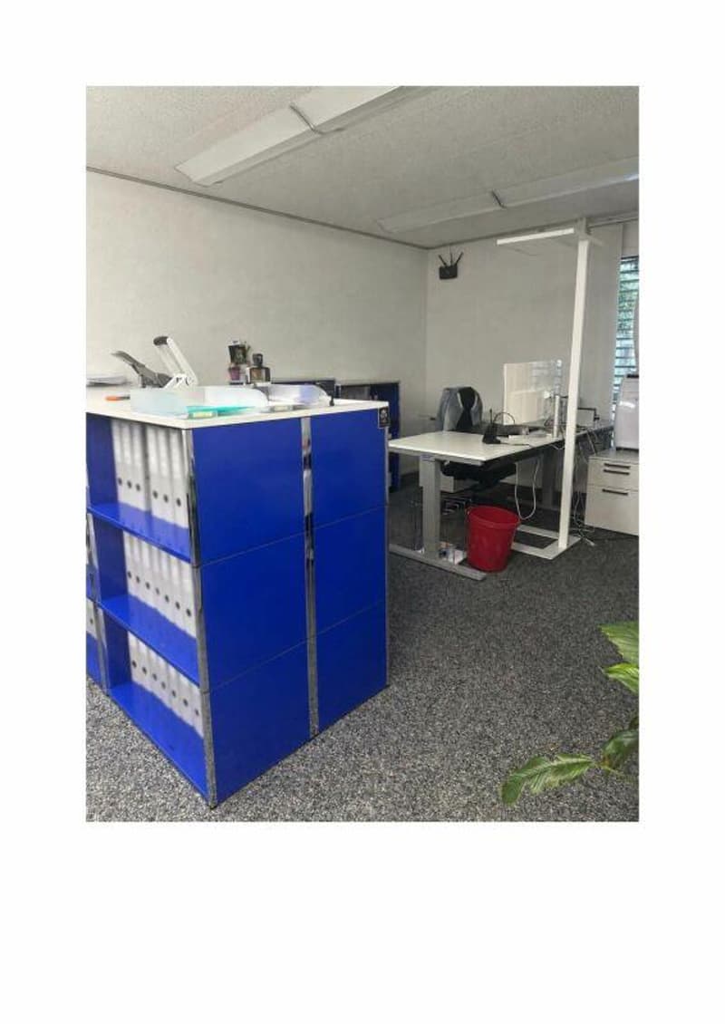 Büro-/Praxisräume mit Schaufensterfront (2)