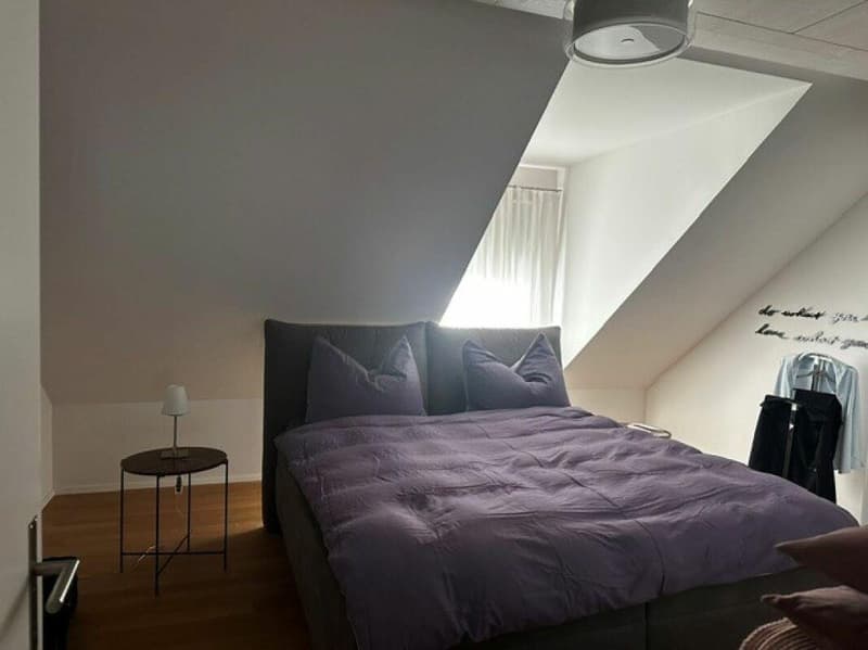Wunderschöne Dachwohnung nähe Egelsee (4)