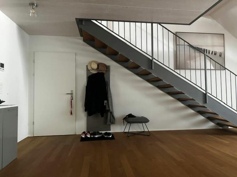 Wunderschöne Dachwohnung nähe Egelsee (6)