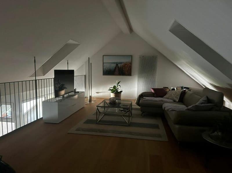 Wunderschöne Dachwohnung nähe Egelsee (3)