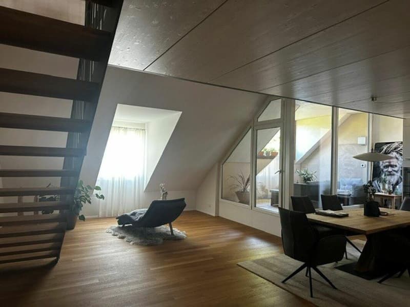 Wunderschöne Dachwohnung nähe Egelsee (7)