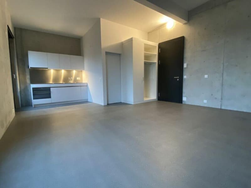 Studiowohnung (4)