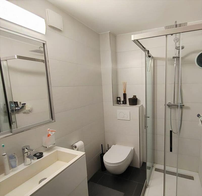 3.5 Zimmerwohnung im 4. Stock (3)