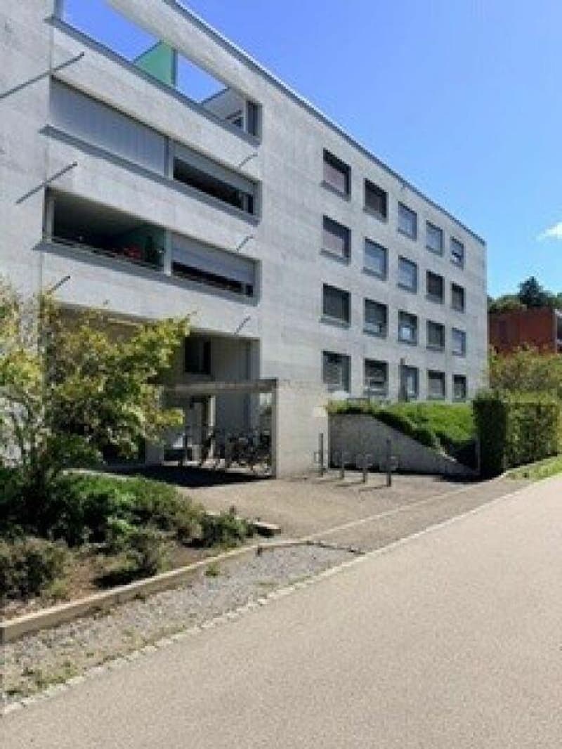 Grosszügige moderne Loftwohnung (1)