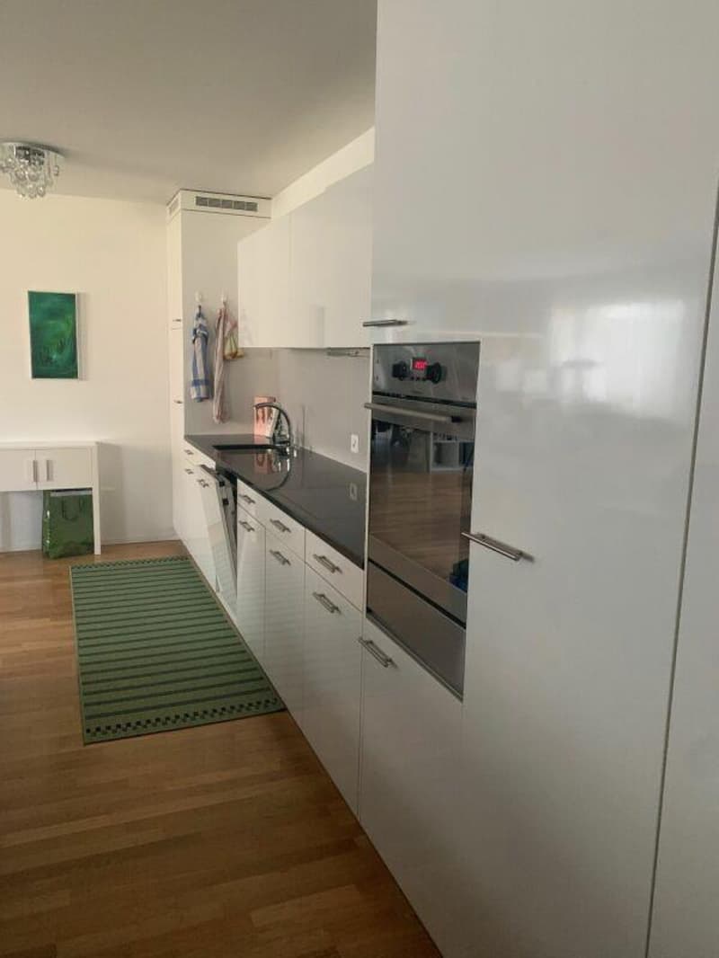 Grosszügige moderne Loftwohnung (2)